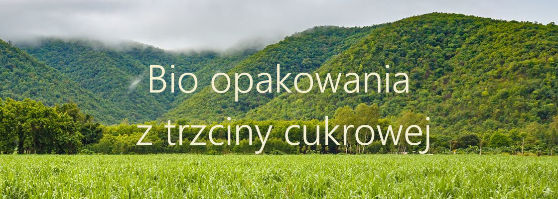 Kliknij w ofertę 